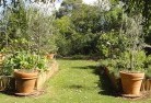 Baroogavegetable-gardens-3.jpg; ?>